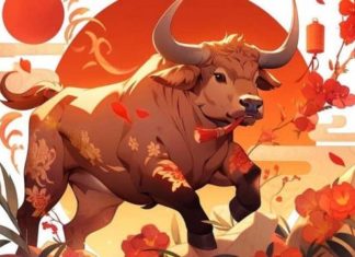 3-Year-Old Tragedy: Financial Loss and Relationship Breakdown Overnight