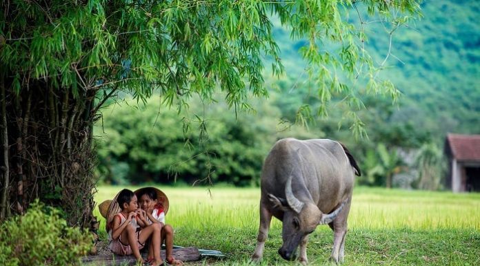 Q1 2024: A hardworking 4-year-old, blessed by fortune, with money pouring in, not a billionaire but a tycoon