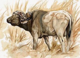 “Good things come to those who wait: 4 zodiac signs receiving abundant wealth at the doorstep, money overflowing by the end of 2023”