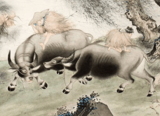 Like Fish in Water: From 4 years to prosperous times, fortunate success, wealth few can match by the end of 2023