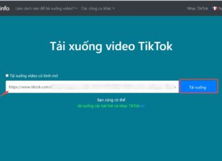 Download TikTok Music for Free on Mobile and Computer to Catch Super Convenient Trends