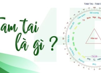 Dragon Year 2024: Beware of the Three-Part Mars Zodiacs, Guard Your Money Wisely