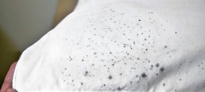 Get Rid of Mildew from Clothes with This Amazing Solution