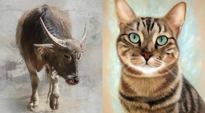 Be cautious of money leaving your pocket during the Thái Tuế year in 2024, as those born in the Year of the Monkey will face financial hurdles.