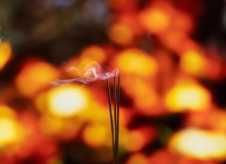 When to light incense in even or odd numbers and the significance of compressed incense? Many people are not clear about the correct way to light incense.