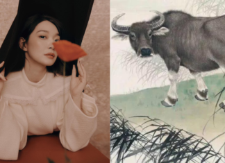 From Rags to Riches: A 4-Year-Old’s Journey to Financial Success in Just 3 Months