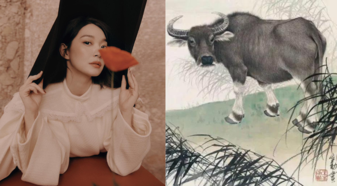 From Rags to Riches: A 4-Year-Old’s Journey to Financial Success in Just 3 Months