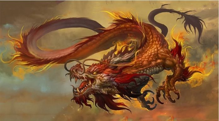 Born Lucky: 4-year-old with sharp intellect and extraordinary talent, making wealth effortlessly