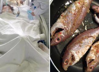 WHO warns about the top 3 liver-damaging foods: Many people unknowingly consume them daily