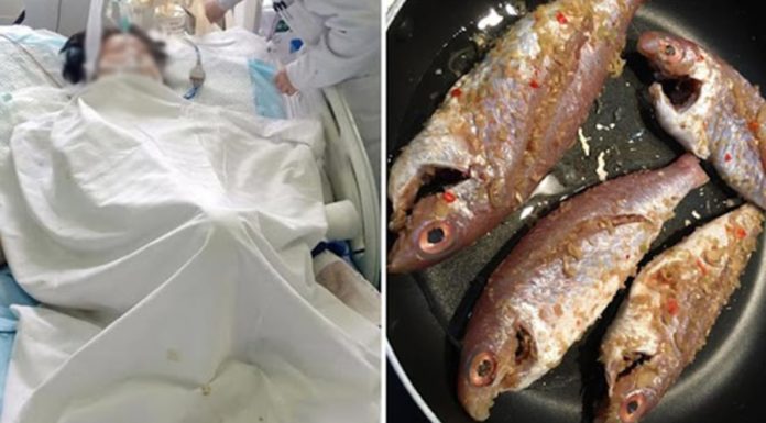 WHO warns about the top 3 liver-damaging foods: Many people unknowingly consume them daily