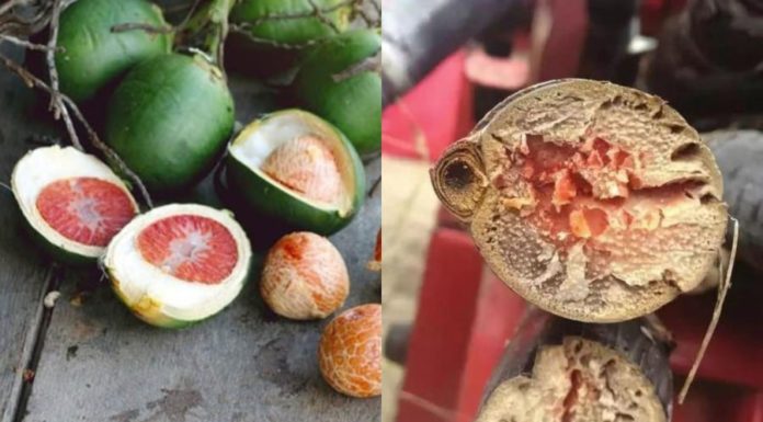 Avoid these 3 ultra-powerful foods, especially the third type, absolutely do not eat them.