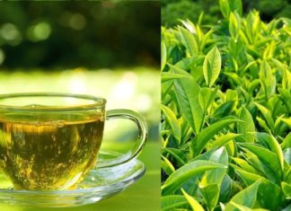 9 Foods to Keep Your Liver Healthy, Detoxify and Prevent K