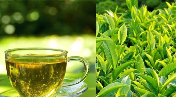 9 Foods to Keep Your Liver Healthy, Detoxify and Prevent K