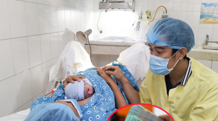 Introducing a New Maternity Benefit Allowance, Starting from August 2023