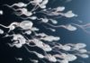 I can’t date because my dad sold… sperm 500 times