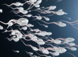 I can’t date because my dad sold… sperm 500 times
