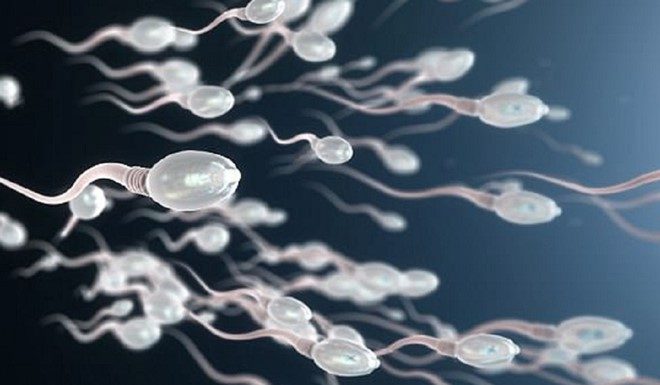 I can’t date because my dad sold… sperm 500 times