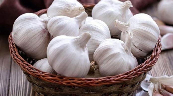 Why should you put garlic on the altar? The surprising answer that brings luck into your home