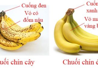 7 types of fruits commonly found in the market that are prone to being soaked in chemicals, be careful not to buy them accidentally.