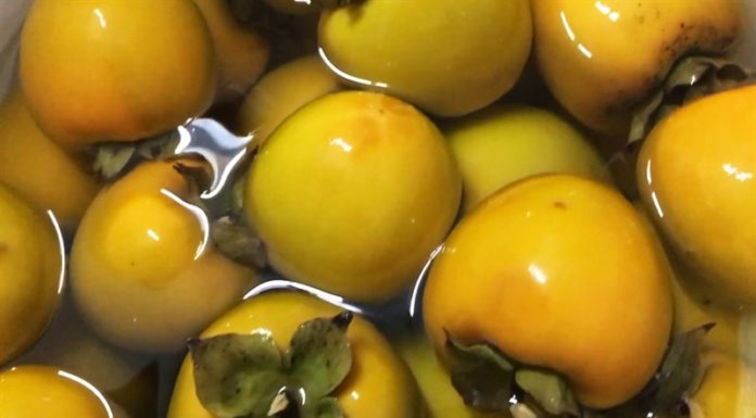 Eating soaked persimmons on an empty stomach is as dangerous as taking poison, because eating 5 persimmons can easily lead to fatal constipation.