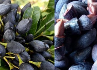 10 Tips for Perfectly Soft and Crispy Om Tram all Year Round