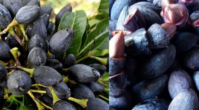 10 Tips for Perfectly Soft and Crispy Om Tram all Year Round