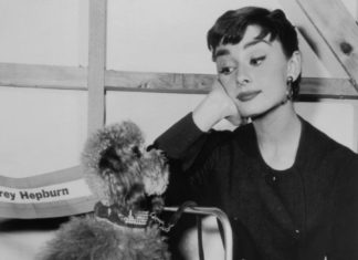 Hot Trend Alert: Try the Adorable Puppy Eyeliner Look on TikTok!