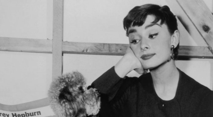 Hot Trend Alert: Try the Adorable Puppy Eyeliner Look on TikTok!