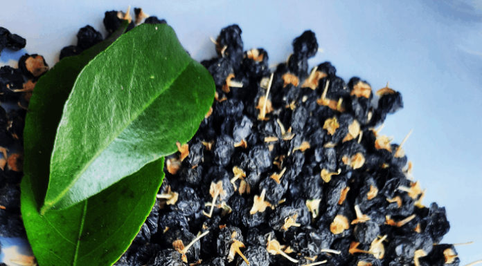 4 Herbal Teas That Work Wonders for Skin Nourishment and Wellness