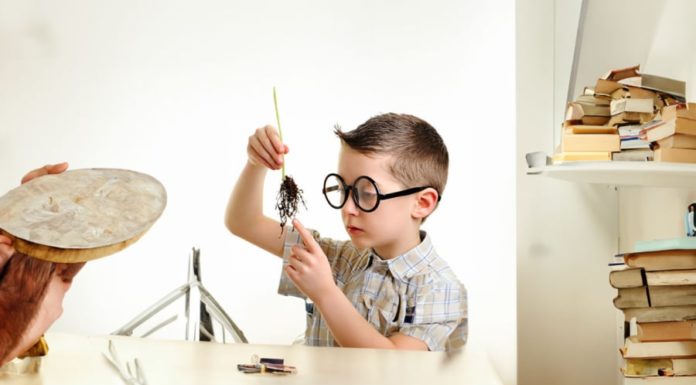 Signs of a Smart and Well-Behaved Child: Are You Blessed as Parents?