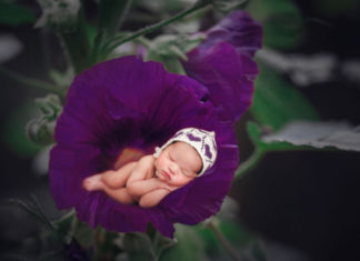 The Best Time for Children to be Born for Beauty, Intelligence, Success, and Filial Piety