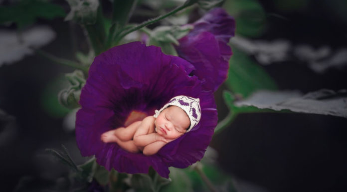 The Best Time for Children to be Born for Beauty, Intelligence, Success, and Filial Piety