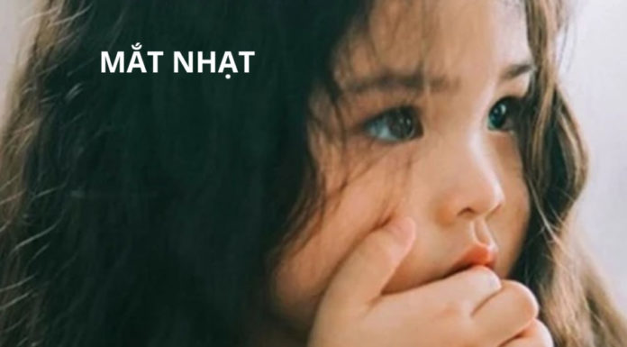 Facial Expressions That Indicate a Smart and Successful Child: How Many Signs Does Your Child Exhibit?