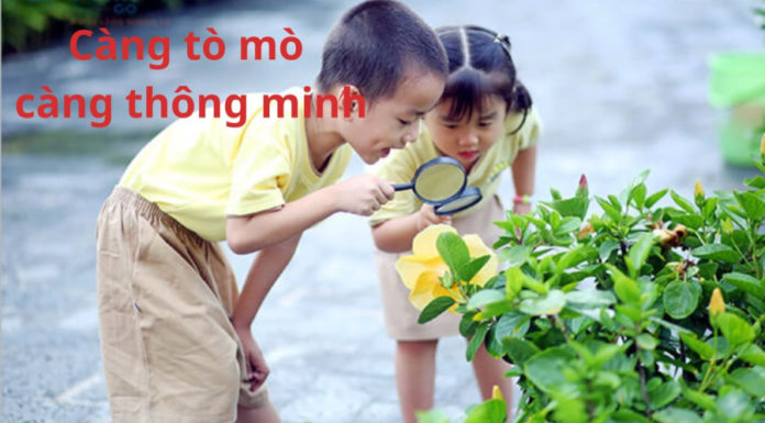 If you see these traits in your child, don’t rush to criticize or be sad, it’s actually a “signal” for future success.