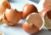 Discover these 5 amazing uses of eggshells – you won’t want to throw them away!