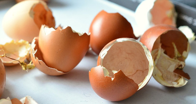 Discover these 5 amazing uses of eggshells – you won’t want to throw them away!