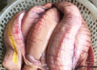 The Best Kept Secret of Fish: 1-Ounce Fish Holds Twice the Amount of Calcium as Meat & Tastes Great in Any Recipe