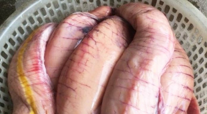 The Best Kept Secret of Fish: 1-Ounce Fish Holds Twice the Amount of Calcium as Meat & Tastes Great in Any Recipe