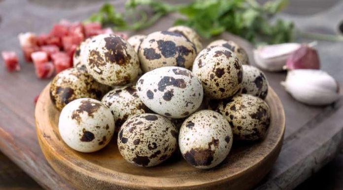 Simple Recipe for Marinated Quail Eggs: Ready in Just 10 Minutes