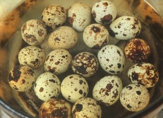 Easy-peel, crack-free boiling method for quail eggs