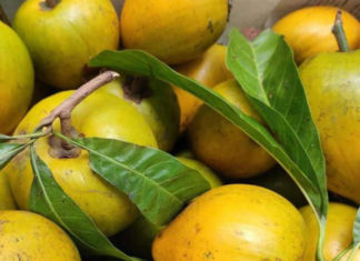 Low egg consumption of lê-ki-ma chicken in Vietnam, while abroad it is selling for 1.5 million due to excellent K prevention