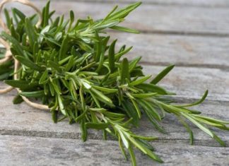 Simple and Long-lasting Homemade Dried Thyme: A Hassle-free Guide
