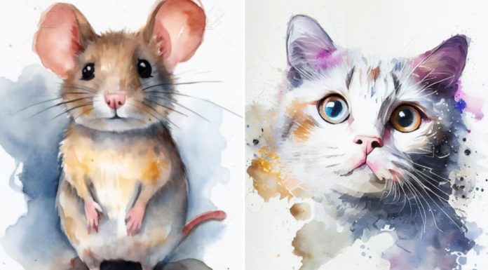 From now until the November full moon: A 3-year-old enjoys abundant meals and comfortable clothes, with surplus money.