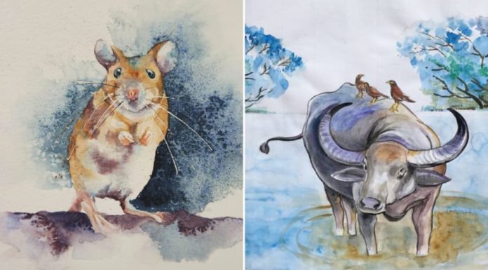 4-Year-Old Fortune: November Brings Good Luck, December Overflows with Wealth.