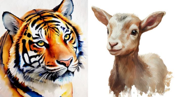 The Lucky Charm: How a 3-Year-Old’s Serene Presence Attracts Abundance