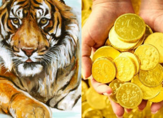 In 20 Days, this 3-Year-Old Prodigy Claims Unprecedented Success, Raking in Gold Coins non-stop