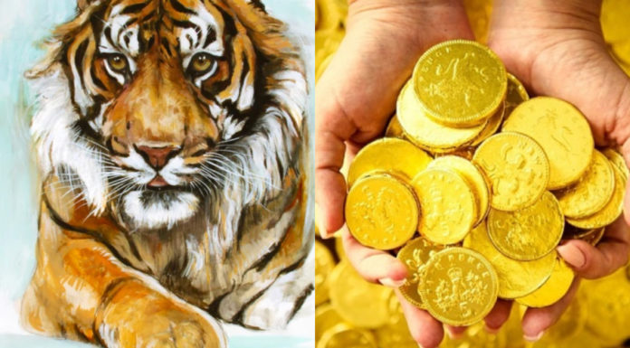 In 20 Days, this 3-Year-Old Prodigy Claims Unprecedented Success, Raking in Gold Coins non-stop