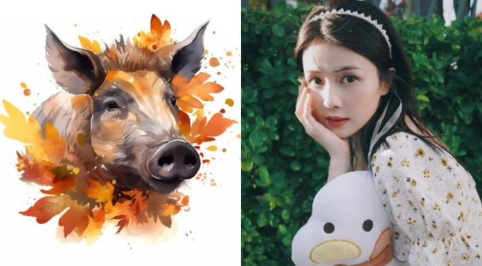 3 Zodiacs Turn into Hidden Riches, Transforming from 2024-2028 into Dragons and Phoenixes, Abundant Wealth