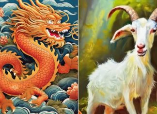 From 24/12 to 31/12, 3-year-olds encounter a time of change and end the year with big wins and abundant wealth.