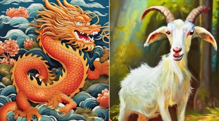 From 24/12 to 31/12, 3-year-olds encounter a time of change and end the year with big wins and abundant wealth.